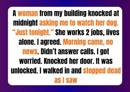 12 Emotional Moments That Prove Real Kindness Needs No Applause